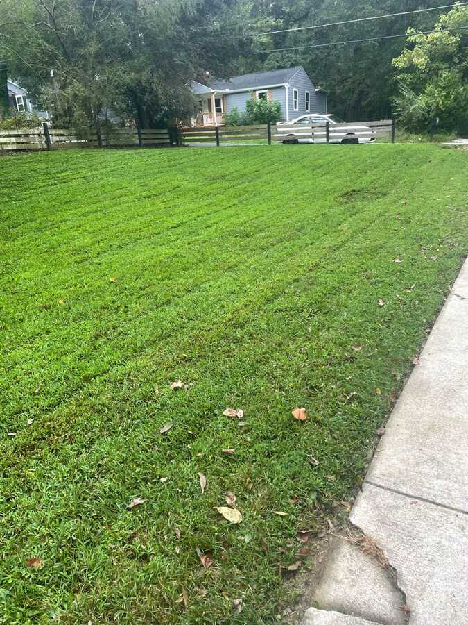 Freshly cut lawn by Rocha Landscaping