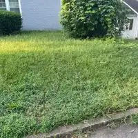 Yard maintenance project