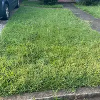 Rocha Landscaping project