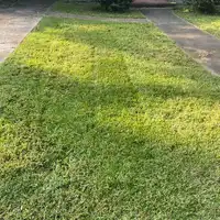 Rocha Landscaping project